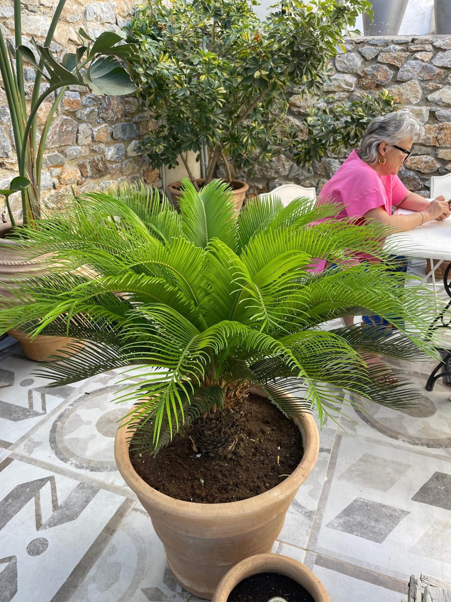 Speires Suites Irakleia  Exterior foto